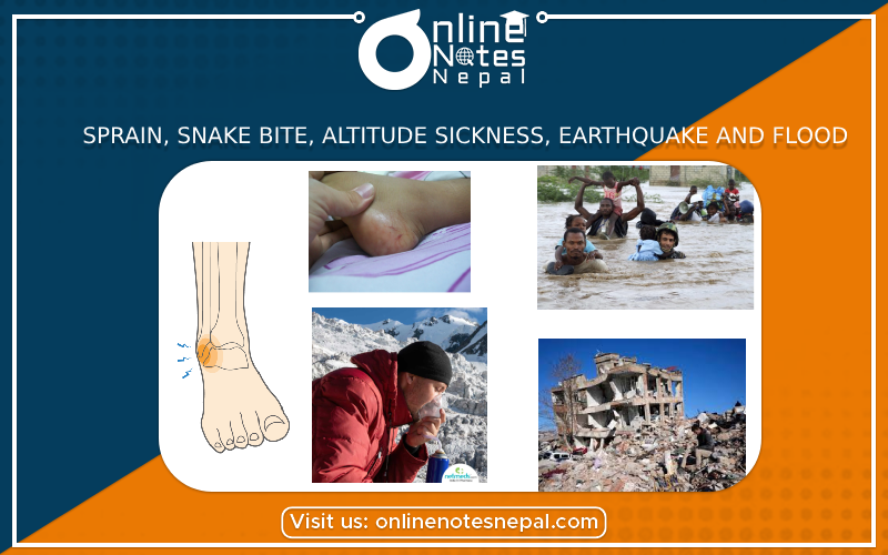 Sprain, Snake bite, Altitude Sickness, Earthquake and Flood in Grade 9